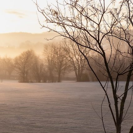 Winterlandschaft Golfplatz | Bild: Pixabay