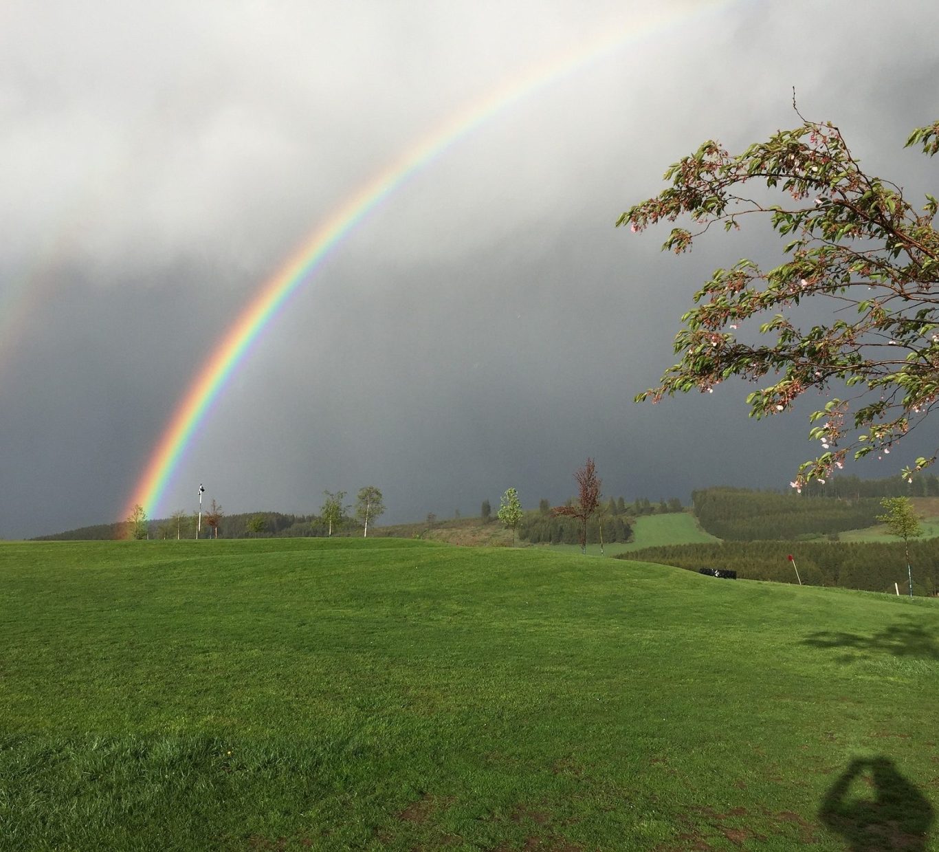 Regenbogen auf dem Golfplatz | Bild: Pixabay